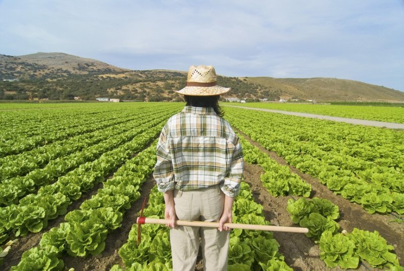 Prestiti agevolati agricoltura
